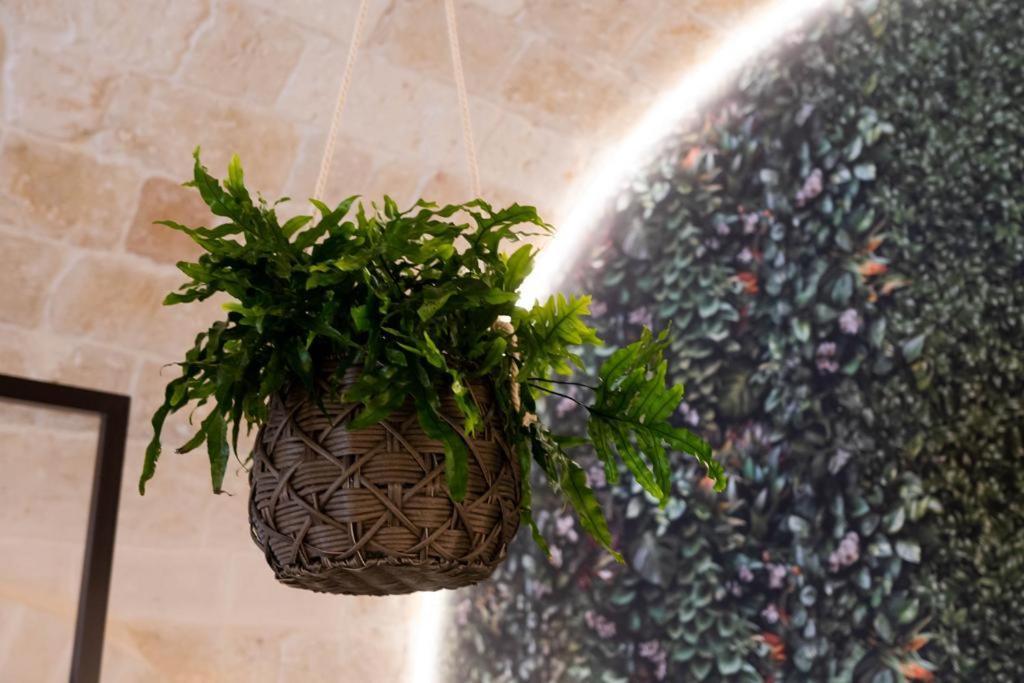 Leaves' Suite Monopoli Dış mekan fotoğraf